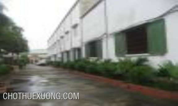 Kho xưởng tiêu chuẩn giá rẻ cho thuê tại KCN Đại Đồng, Hoàn Sơn Bắc Ninh 5