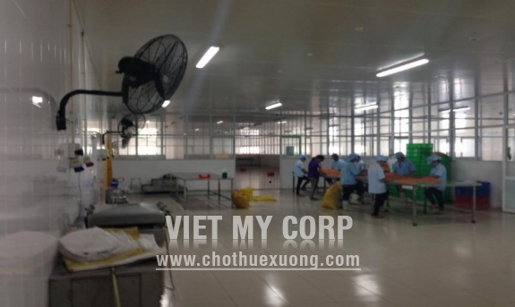 Bán xưởng sản xuất thực phẩm rộng 5000m2 trong KCN Tân Tạo, Quận Bình Tân 1