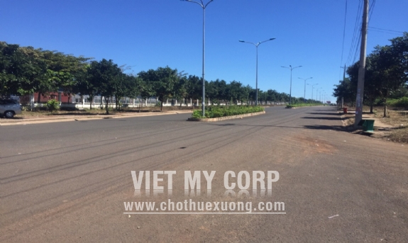 Bán/ cho thuê đất xây nhà xưởng trong KCN Bắc Đồng Phú,huyện Đồng Phú, tỉnh Bình Phước 9