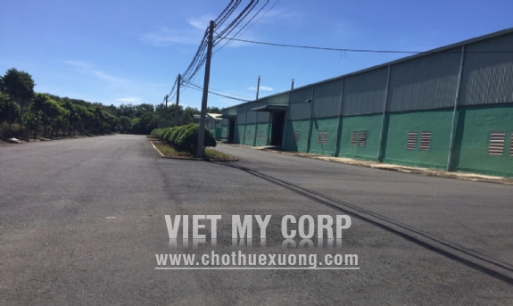 Cần cho thuê gấp nhà xưởng 8000m2 trong cụm Công Nghiệp Hà Mỵ, huyện Đồng Phú, Bình Phước 1
