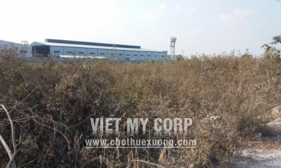 Bán đất xưởng SKC 11000m2,nằm 2 mặt tiền, giá 1 triệu/m2 tại Khánh Bình, Tân Uyên, Bình Dương 2