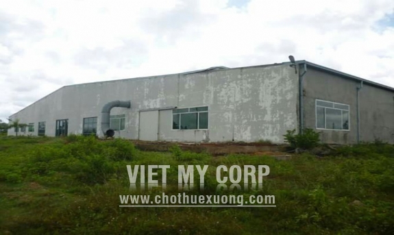 Bán 5,5 ha đất và nhà xưởng tại Huyện Bàu Bàng ,Bến Cát ,Bình Dương 1