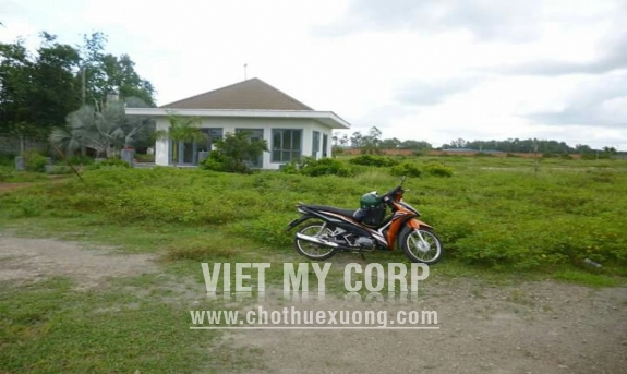 Bán 5,5 ha đất và nhà xưởng tại Huyện Bàu Bàng ,Bến Cát ,Bình Dương 3