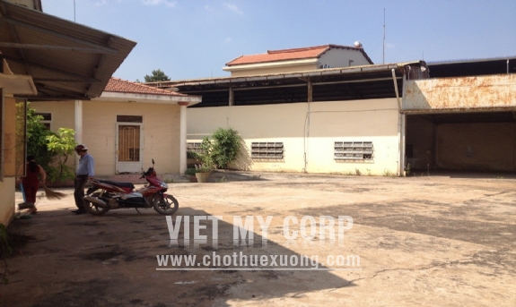 Bán kho xưởng diện tích 2679m2 xã Vĩnh Lộc B, huyện Bình Chánh 3