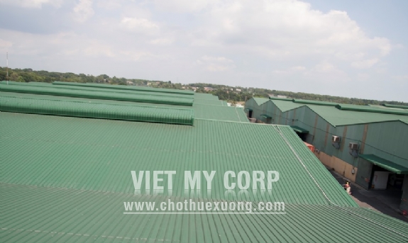 Cho thuê nhà xưởng 2100m2 gần Amata Biên Hoà, Đồng Nai 5