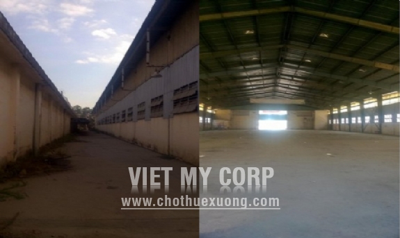 Cho thuê kho xưởng 3000m2 trong KCN Cát Lái, quận 2 TP HCM 3