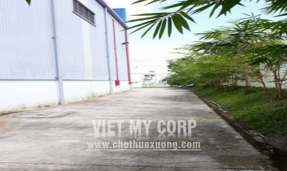 Cho thuê gấp nhà xưởng 1911m2 trong KCN Amata, Biên Hòa, Đồng Nai 5