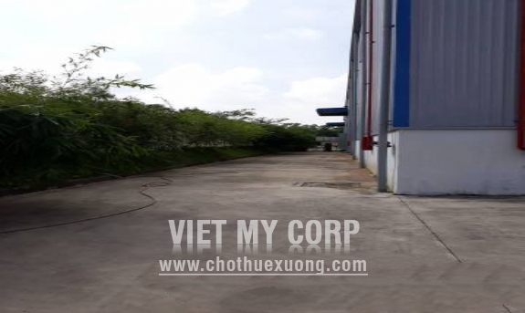 Cho thuê gấp nhà xưởng 1911m2 trong KCN Amata, Biên Hòa, Đồng Nai 6