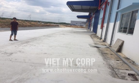 Cho thuê 04 nhà xưởng mới xây 6528m2 trong KCN An Phước, Long Thành, Đồng Nai 7