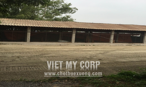 Cần bán nhà xưởng 1000m2 giá 7 tỷ tại thôn Kim Thành, huyện Thanh Oai, Hà Nội 5