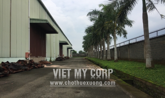 Cho thuê kho xưởng 5000m2 ở Tây Hòa, Trảng Bom, Đồng Nai 5
