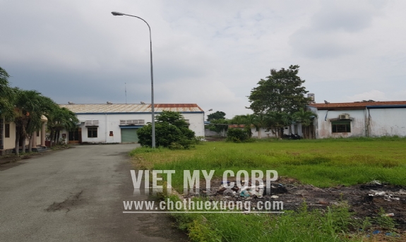 Bán gấp nhà xưởng 2000m2 đất SKC 7000m2 ở Tân Thông Hội, huyện Củ Chi, TP HCM 5