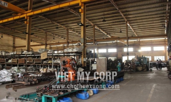 Bán gấp nhà xưởng 6500m2 trong KCN Vĩnh Lộc A, huyện Bình Chánh, TP HCM 3