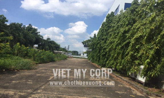Bán gấp nhà xưởng 10848m2 trong KCN Vsip 1, Thuận An, Bình Dương 6