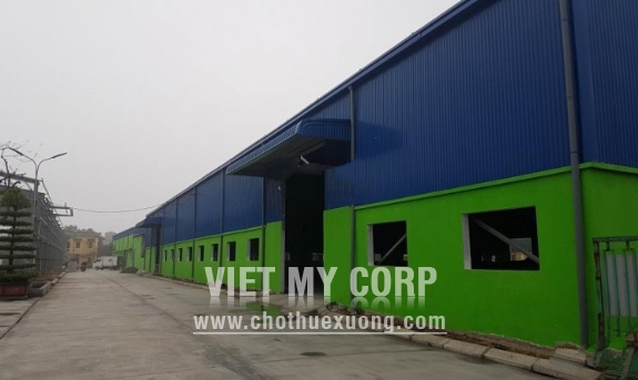Cho thuê nhà xưởng mới xây 13,000m2 đường Song Hào, thành phố Nam Định 3