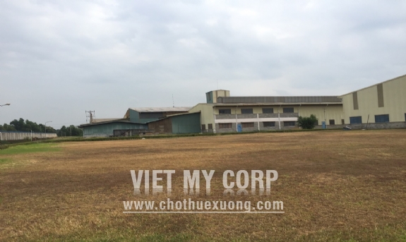 Bán gấp nhà xưởng 5,2ha trong KCN Nam Tân Uyên, Bình Dương 3