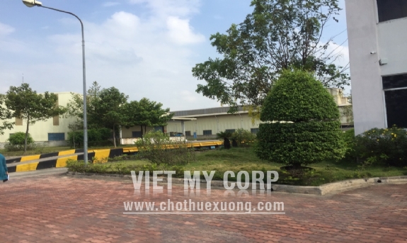 Bán gấp nhà xưởng 5,2ha trong KCN Nam Tân Uyên, Bình Dương 9