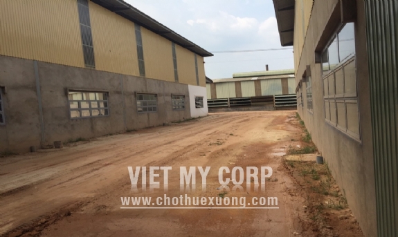 Cho thuê xưởng mới xây từ 5000m2 đến 22,000m2 ở Khánh Bình, Tân Uyên, Bình Dương 4