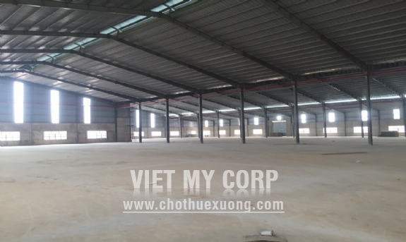 Cho thuê xưởng mới xây từ 5000m2 đến 22,000m2 ở Khánh Bình, Tân Uyên, Bình Dương 5