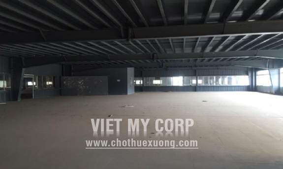 Cho thuê xưởng 11,000m2 trong Cụm CN Tân Định, Bến Cát, Bình Dương 5