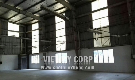 Bán gấp nhà xưởng 2600m2 KV đất 5200m2 trong CNN Lợi Bình Nhơn, Tp Tân An, Long An 7