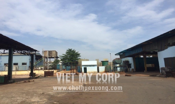 Bán gấp nhà xưởng 5000m2 KV đất 2ha gần KCN Tân Quy, huyện Củ Chi 1