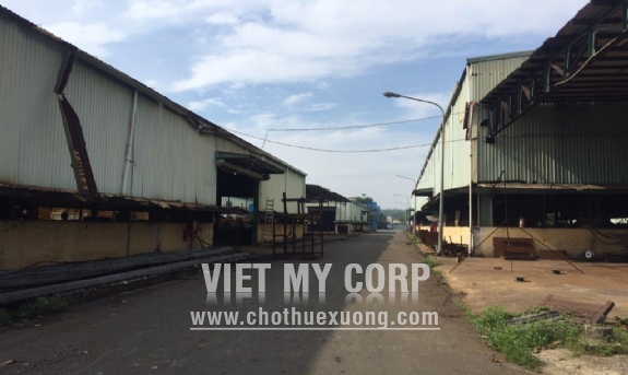 Bán gấp nhà xưởng 5000m2 KV đất 2ha gần KCN Tân Quy, huyện Củ Chi 7