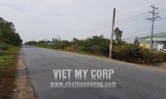 Bán gấp nhà xưởng 1000m2 KV đất 5000m2 ở xã Tân Đông, huyện Thạnh Hóa, Long An 4
