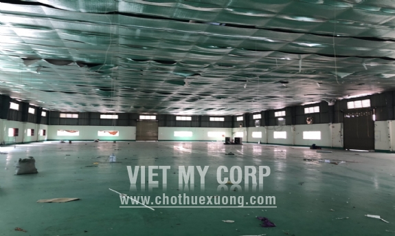Cho thuê gấp xưởng 2300m2 KV 3000m2 ở Thuận Giao, Thuận An, Bình Dương 1