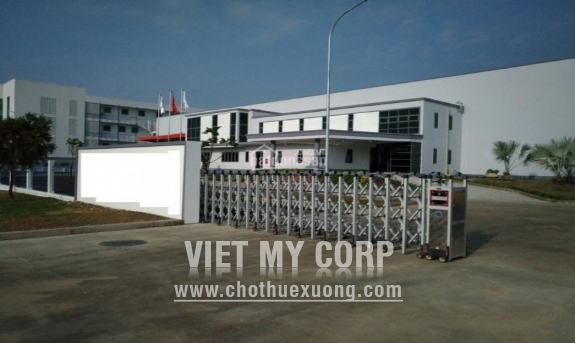 Bán/ chuyển nhượng nhà xưởng 15000m2 trong KCN Amata, Biên Hòa Đồng Nai 1