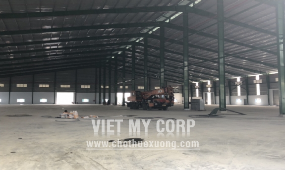 Cho thuê 3 xưởng mới xây 6500m2, 7000m2 và 13500m2  trong KCN Tân Bình, Bình Dương 9