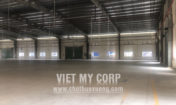 Cho thuê xưởng 9400m2 và 11,000m2 ở An Phú, Thuận An, Bình Dương 2