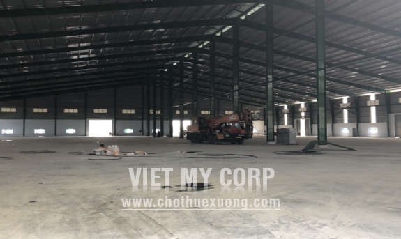 Cho thuê xưởng mới xây 13500m2 trong KCN Tân Bình, Bình Dương 3