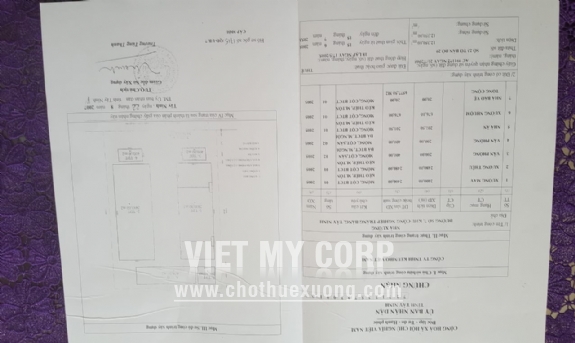 Bán nhà xưởng dệt nhuộm 6600m2 KV đất 12350m2 trong KCN Trảng Bàng, Tây Ninh 3