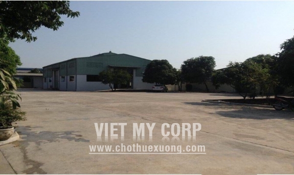 Cho thuê kho xưởng 4000m2 đường Lê Thị Trung, Thuận An, Bình Dương 2