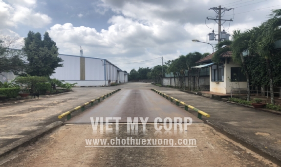 Cho thuê nhà xưởng 12500m2 KV đất 3ha mặt tiền QL14, Đồng Phú, Bình Phước 6