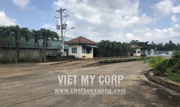 Cho thuê nhà xưởng 12500m2 KV đất 3ha mặt tiền QL14, Đồng Phú, Bình Phước 10