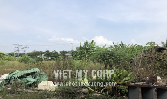 Bán nhà xưởng 3000m2 KV đất 12033m2 trong KCN Hoà Bình, Thủ Thừa, Long An 6