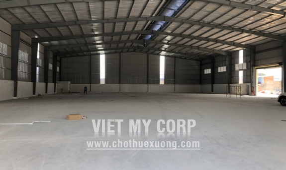 Cho thuê gấp 2 xưởng 1500m2 và 600m2 mới xây ở Thuận Giao, Thuận An, Bình Dương 6