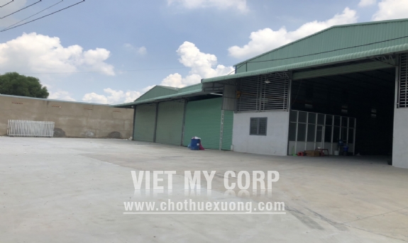 Cho thuê gấp 2 xưởng 1500m2 và 600m2 mới xây ở Thuận Giao, Thuận An, Bình Dương 3