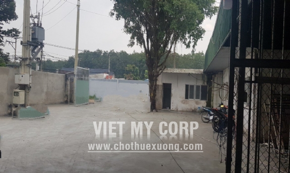 Cho thuê xưởng 2000m2 giá 80tr/th đường TL8, Phước Vĩnh An, Huyện Củ Chi 3