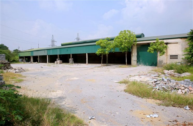 Cho thuê nhà xưởng 1000m2 khuôn viên 5000m2 trong KCN Đông Lĩnh, TP Thanh Hóa