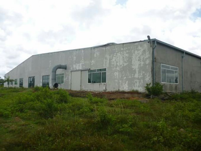 Bán 5,5 ha đất và nhà xưởng tại Huyện Bàu Bàng ,Bến Cát ,Bình Dương
