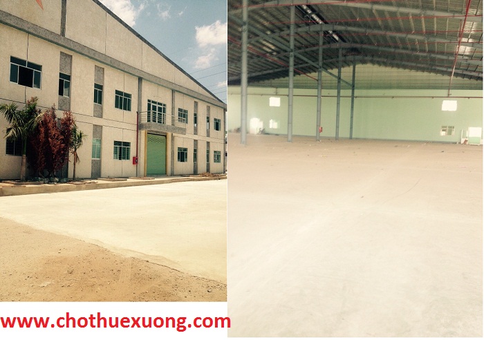 Cho thuê nhà xưởng mới xây 3900m2 gần KCN Hạnh Phúc, Đức Hoà, Long An