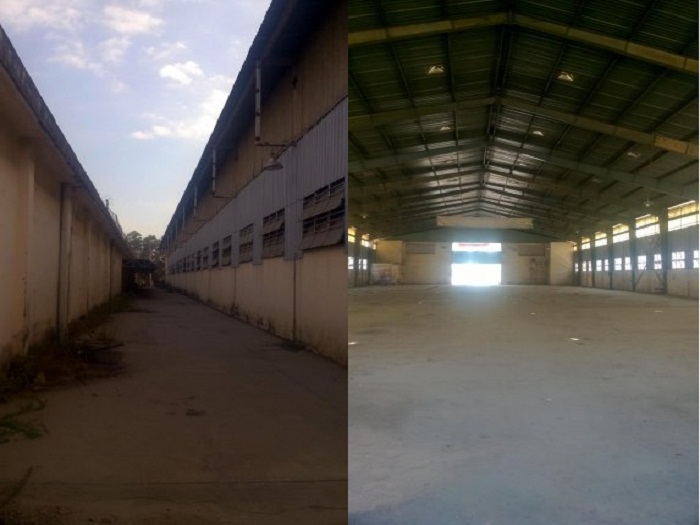Cho thuê kho xưởng 3000m2 trong KCN Cát Lái, quận 2 TP HCM