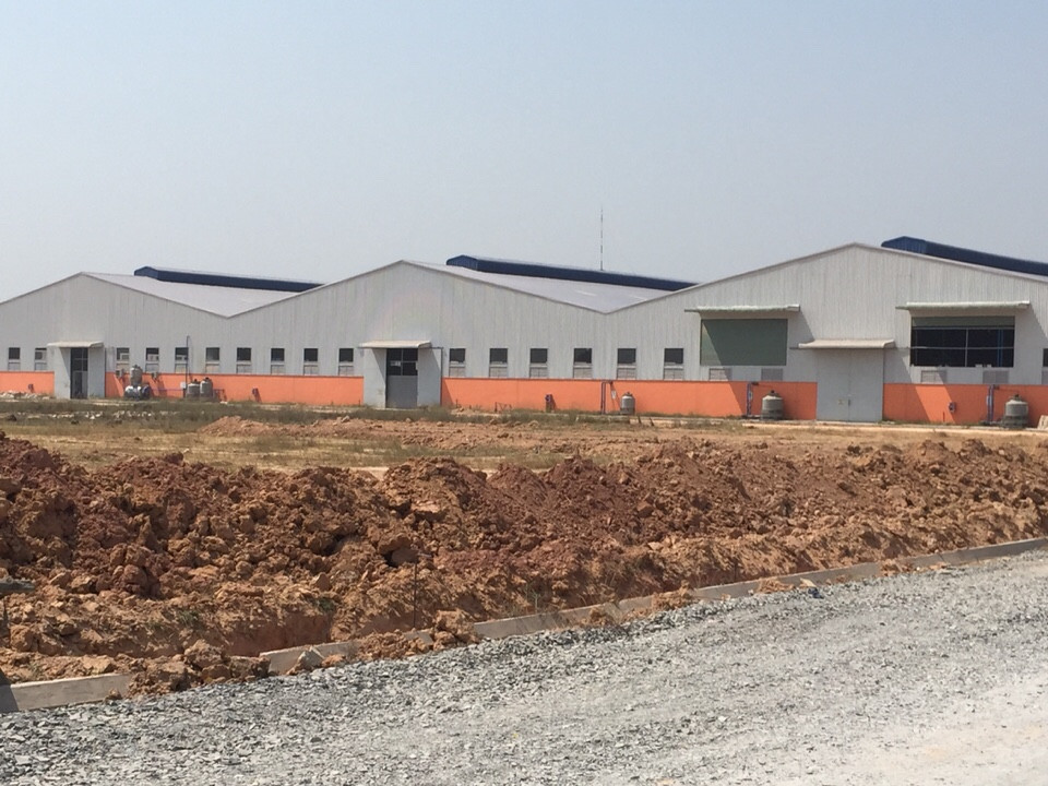 Cho thuê 03 xưởng mới xây 5632m2, 11264m2 và 17000m2 trong CNN Khánh Bình, Tân Uyên, Bình Dương