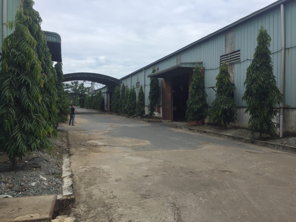 Cho thuê xưởng 10,000m2 KV đất 2ha giá 1,6usd/m2 gần KCN Nam Tân Uyên, Bình Dương